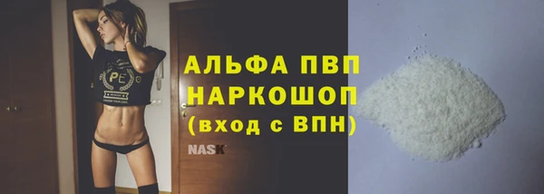 шишки Беломорск