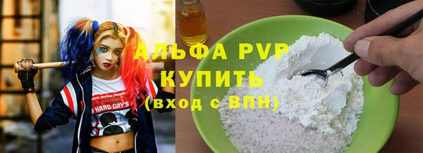 шишки Беломорск
