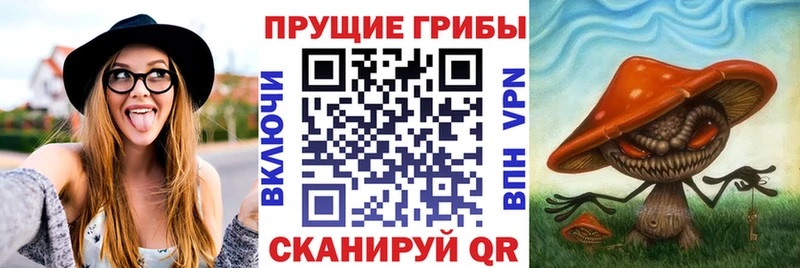 Галлюциногенные грибы MAGIC MUSHROOMS  Ясногорск 